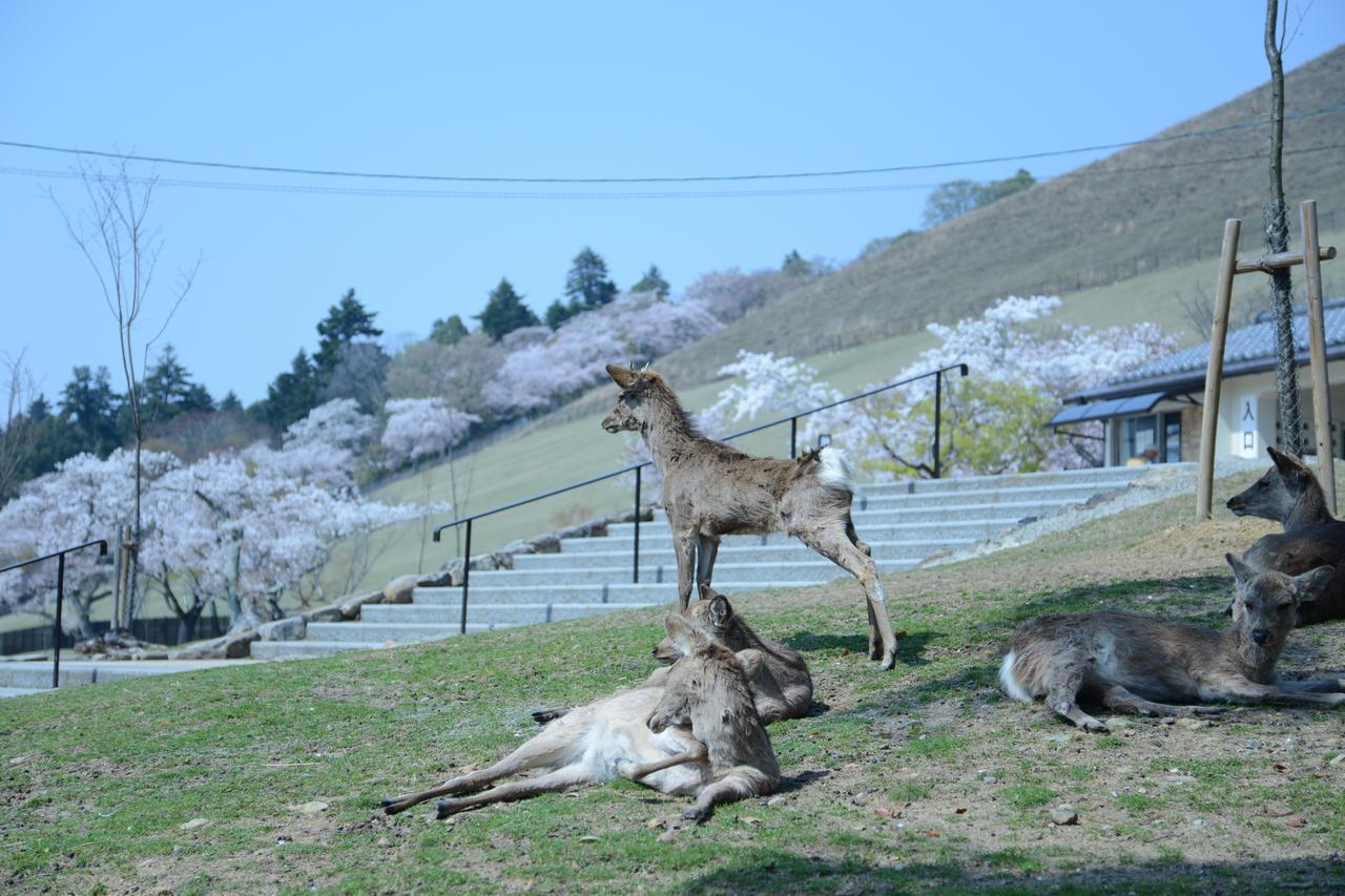 マウンテンホームロッジインディアーパーク 奈良市 エクステリア 写真